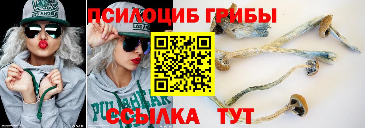 Псилоцибиновые грибы ЛСД  Псилоцибиновые грибы ЛСД  Пушкино  Вход с VPN 
